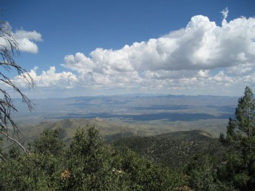 IMG_0617